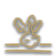 Kohlrabi (Crop) icon.png