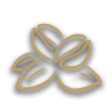 Coffee Bush icon.png