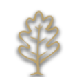 Oak icon.png