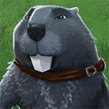 Portret bobra z frakcji